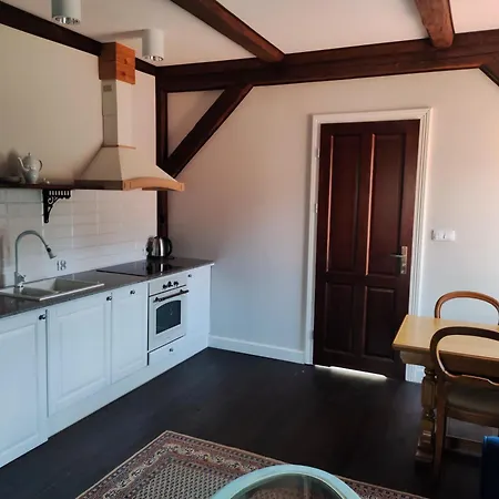 Semesterbostad Mazurski Dwor - 450M2 - Sauna, Balia Termalna! Srokowo